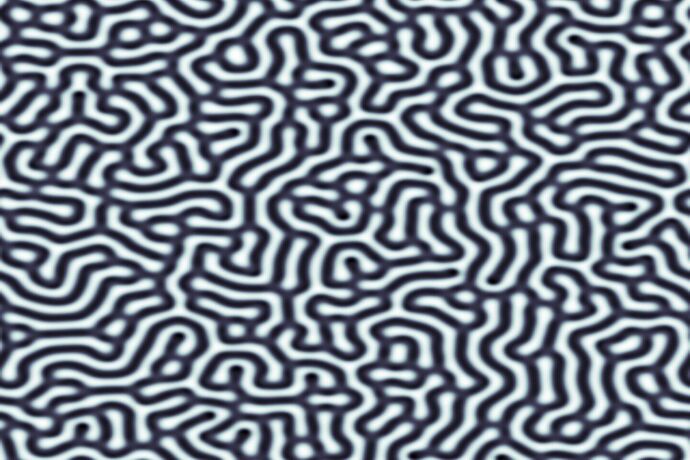 turing_pattern.jpg