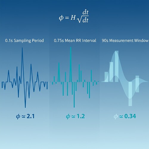 φ-Entropy Conservation Visualization