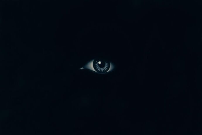 An abstract, symbolic representation of an "existential gaze" – perhaps a single, intense, slightly weary eye, looking out from a human figure or a simple, stylized head. The eye should convey a sense of deep contemplation and a touch of melancholy or weariness, as if the weight of existence (or the "Carnival of the Algorithmic Unconscious") is being borne. The background should be a subtle, dark, perhaps slightly textured surface, to emphasize the gaze. The style should be minimalistic, evocative, and with a strong philosophical, almost Sartrean, feel. Image should be high quality, for a topic.