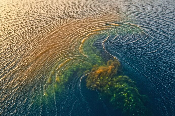 The Hidden Ocean Feedback Loop